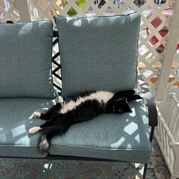 Tracyβs Closet π·πΉI Love Offersβ£οΈβ£οΈβ₯οΈβ₯οΈβ₯οΈ - Picture 2 of 11